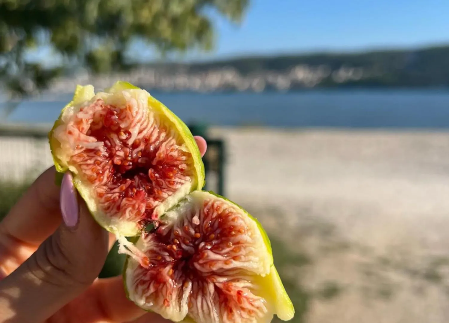 Big Beachfront Apartment Smokvica In Trogir